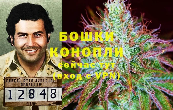 трава Карталы