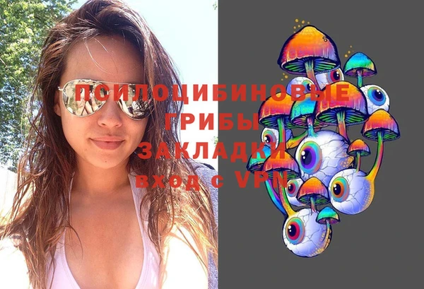 крисы Абинск