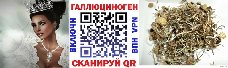 Псилоцибиновые грибы мицелий  Челябинск 